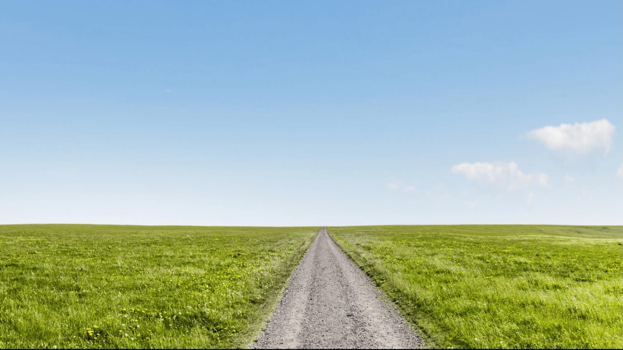open road with green field on both sides.